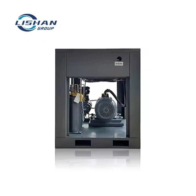 বাইপোলার স্থায়ী চৌম্বক ভেরিয়েবল ফ্রিকোয়েন্সি এয়ার কমপ্রেসার 100 এ